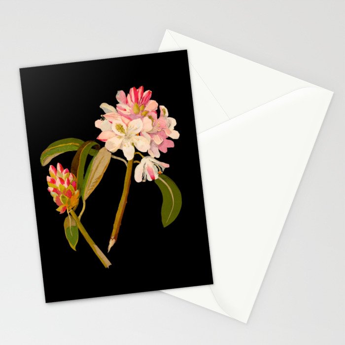 Rhododendron Maximum  by Mary Delany Paper Collage Floral Flower Botanical Paper Mosaic Vintage Scientific Plant Anatomy Stationery Card Gallery Image 2