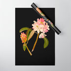 Rhododendron Maximum  by Mary Delany Paper Collage Floral Flower Botanical Paper Mosaic Vintage Scientific Plant Anatomy Wrapping Paper Gallery Image 1