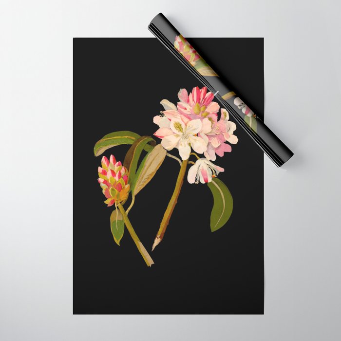 Rhododendron Maximum  by Mary Delany Paper Collage Floral Flower Botanical Paper Mosaic Vintage Scientific Plant Anatomy Wrapping Paper Gallery Image 1