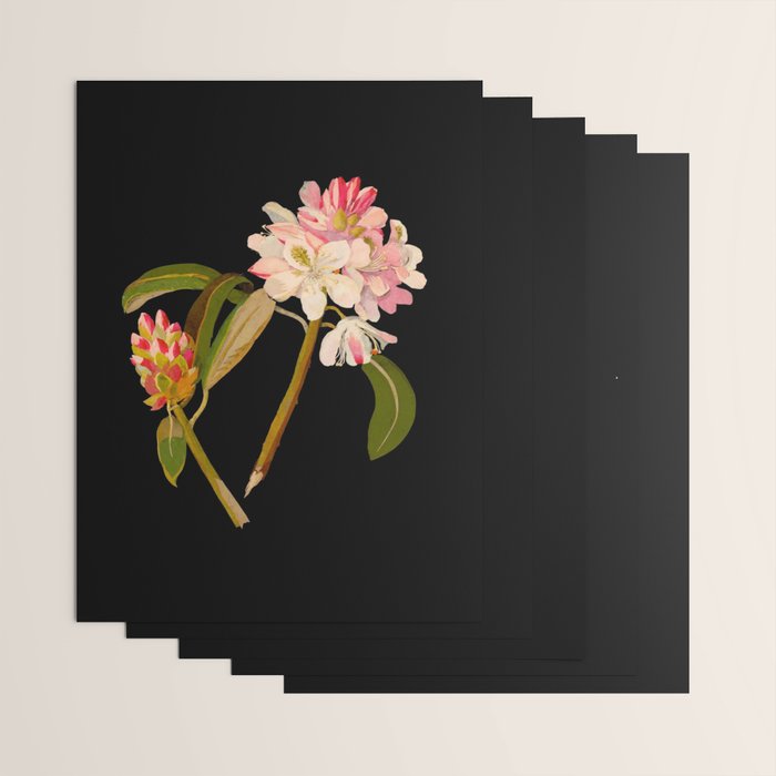 Rhododendron Maximum  by Mary Delany Paper Collage Floral Flower Botanical Paper Mosaic Vintage Scientific Plant Anatomy Wrapping Paper Gallery Image 3