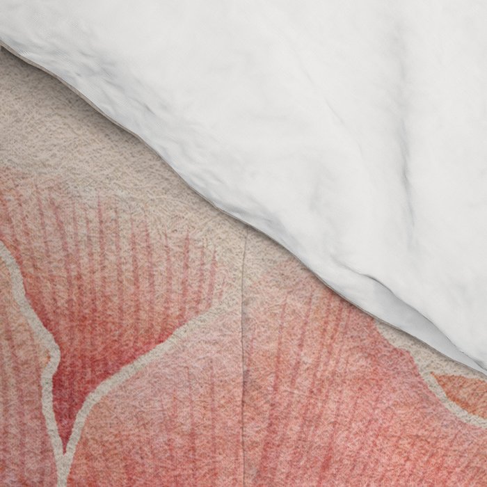 A Simple Rose Comforter Gallery Image 4