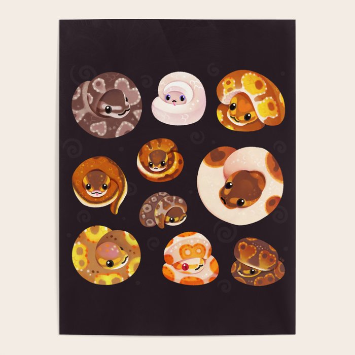 Shy ball pythons - dark Poster Gallery Image 4