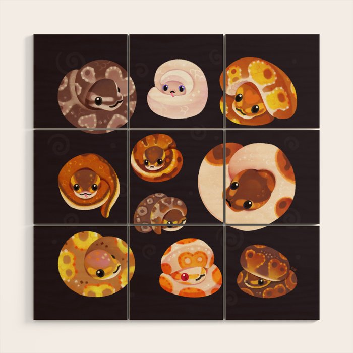 Shy ball pythons - dark Wood Wall Art Gallery Image 1