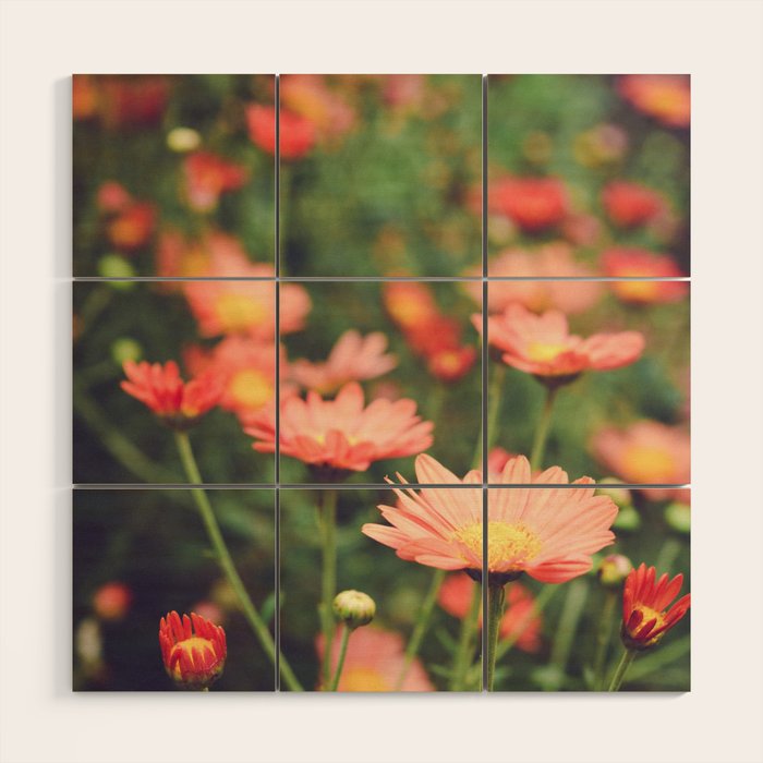 Bohemian Summer Dream Wood Wall Art Gallery Image 1