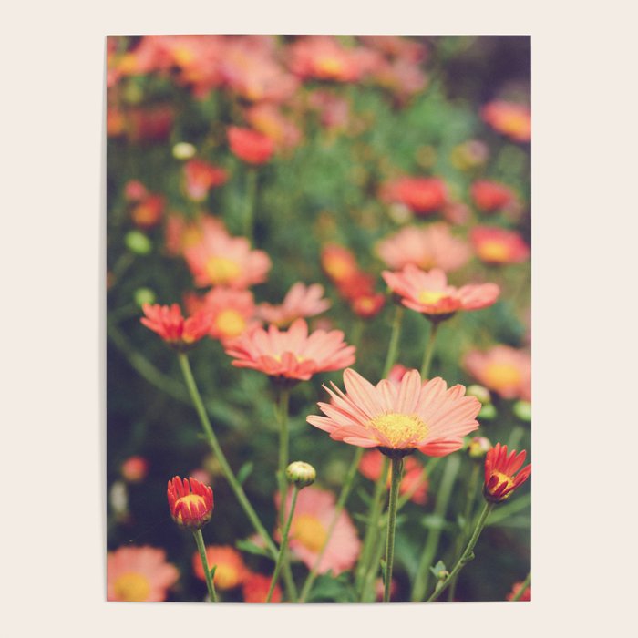 Bohemian Summer Dream Poster Gallery Image 4