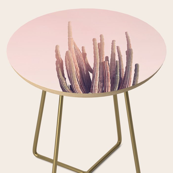 Blush Cactus Side Table Gallery Image 2