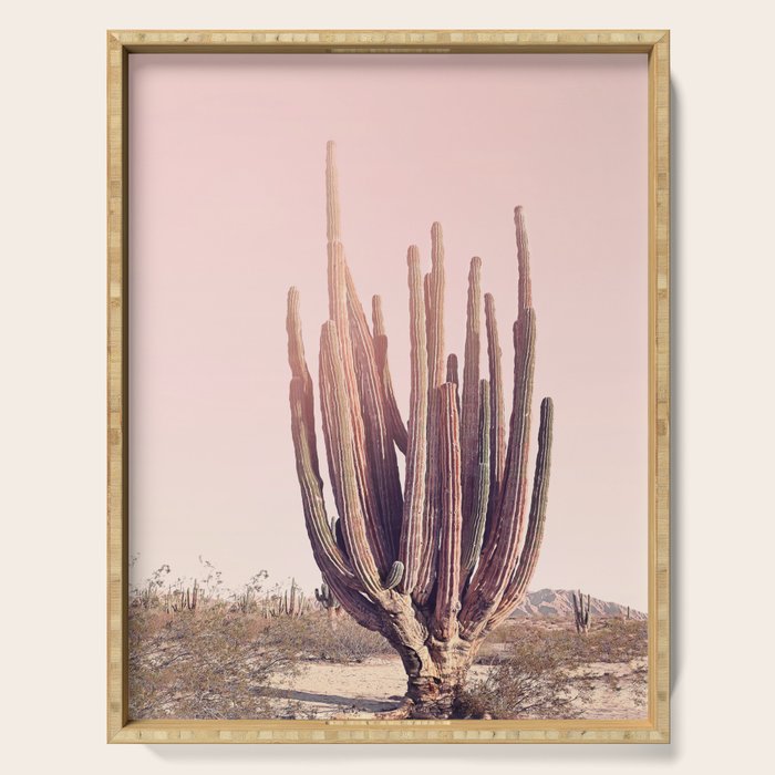 Blush Cactus Serving Tray Gallery Image 1