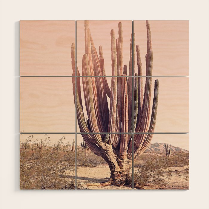 Blush Cactus Wood Wall Art Gallery Image 1