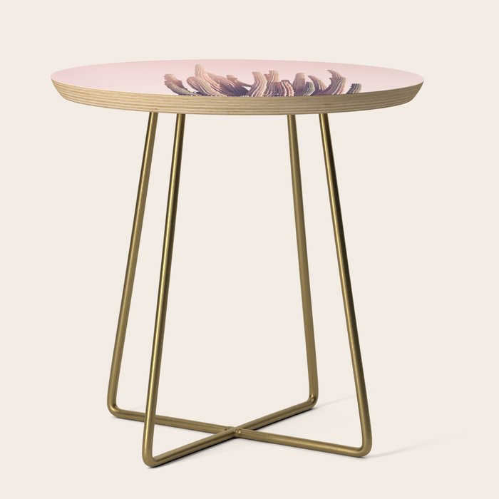 Blush Cactus Side Table Gallery Image 1