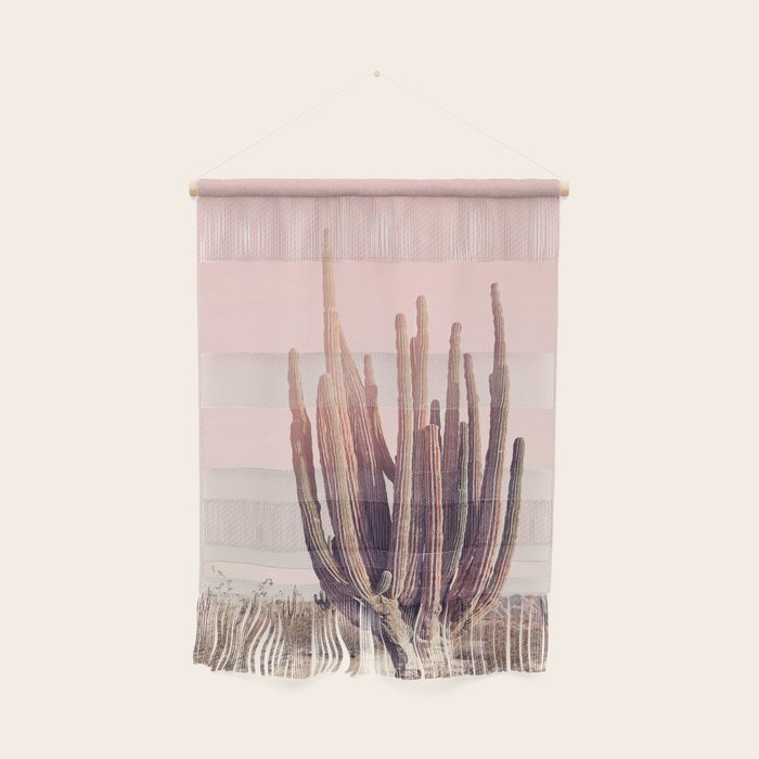 Blush Cactus Wall Hanging Gallery Image 1
