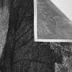Walking In Dark Forest Divine Comedy Dante Gustave Dore Wall Tapestry Gallery Image 3