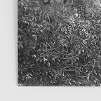 Walking In Dark Forest Divine Comedy Dante Gustave Dore Poster Gallery Image 3