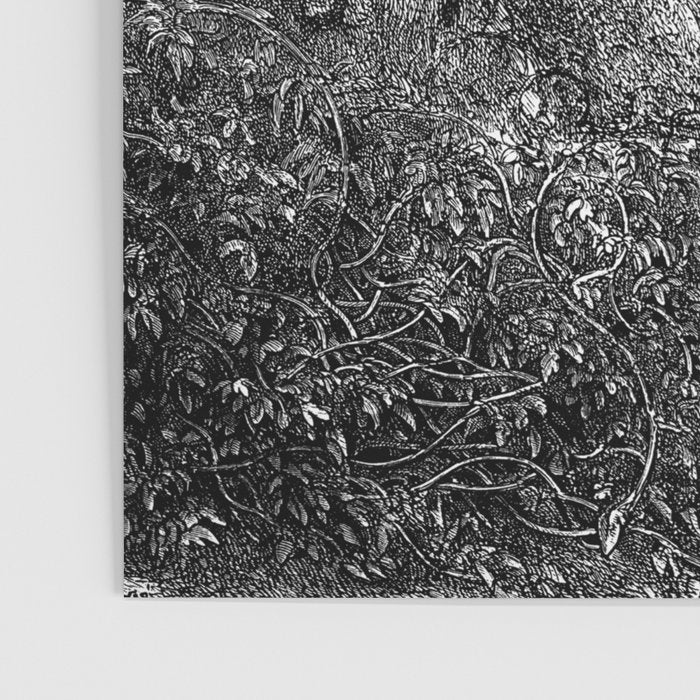 Walking In Dark Forest Divine Comedy Dante Gustave Dore Poster Gallery Image 3