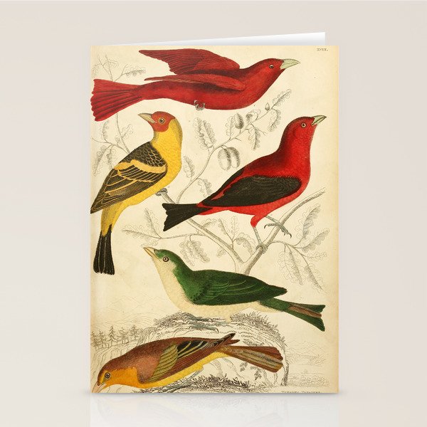 Tanagers from The Edinburgh Journal, 1835 (benefitting The Nature Conservancy) Stationery Card Gallery Image 2