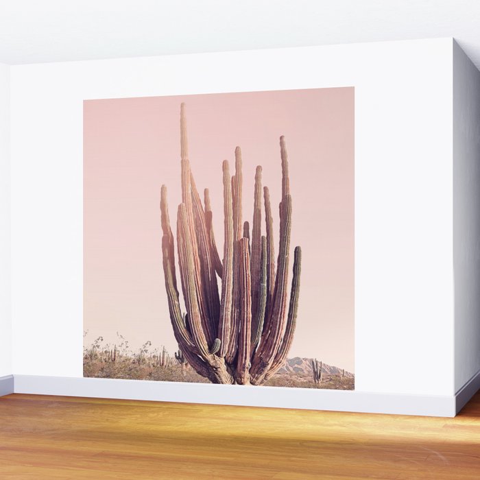 Blush Cactus Wall Mural Gallery Image 2