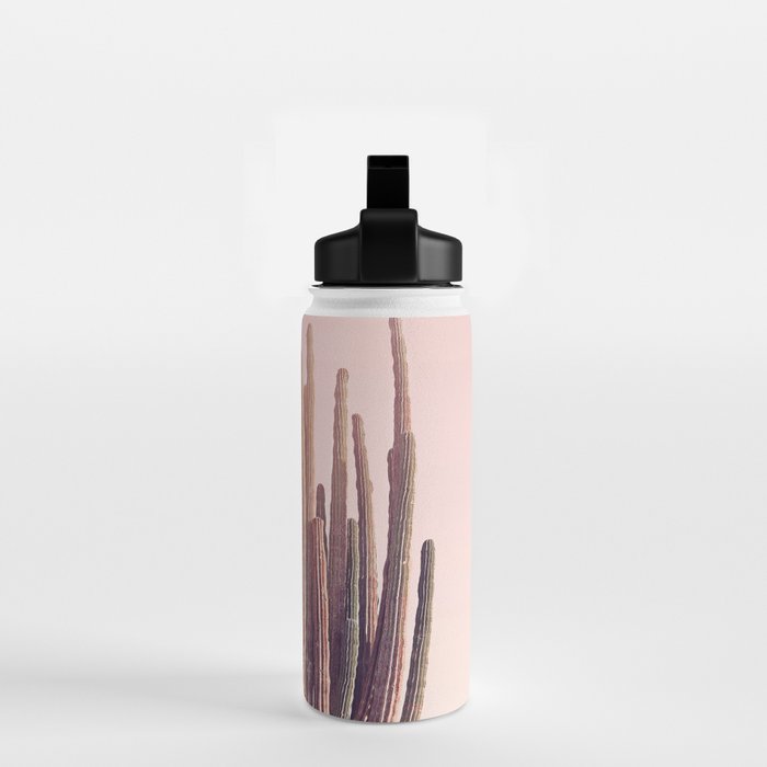 Blush Cactus Water Bottle Gallery Image 2