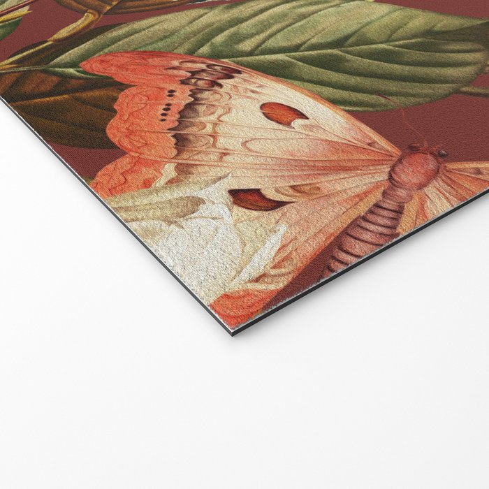 Moths and Butterflies IV Welcome Mat Gallery Image 2