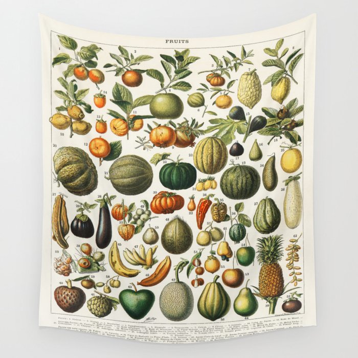 Vintage Scientific Illustration Fruits Botanical Floral Lithograph Encyclopaedia Diagrams  Wall Tapestry Gallery Image 4