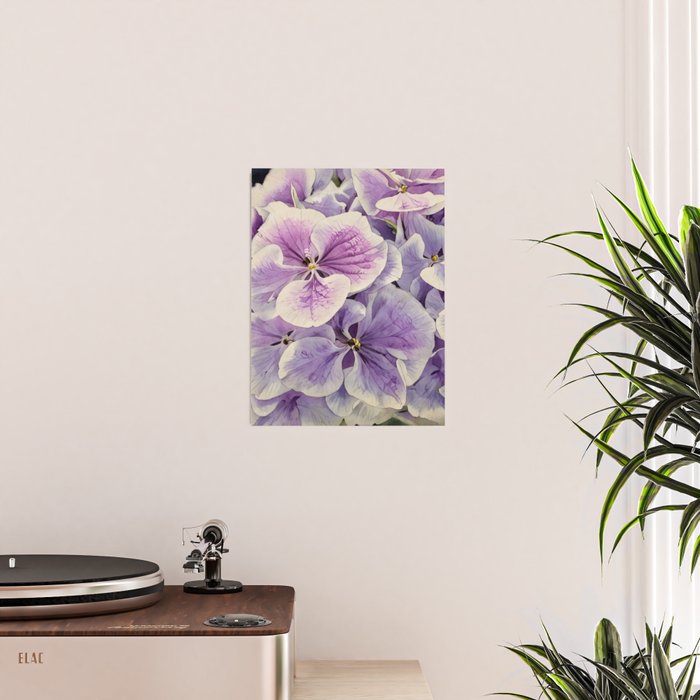 Purple hydrangea watercolor Poster Gallery Image 2
