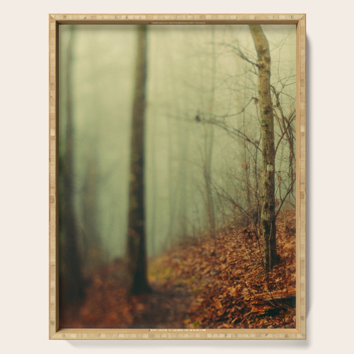 Forest Hike in the Fog Serving Tray Gallery Image 1