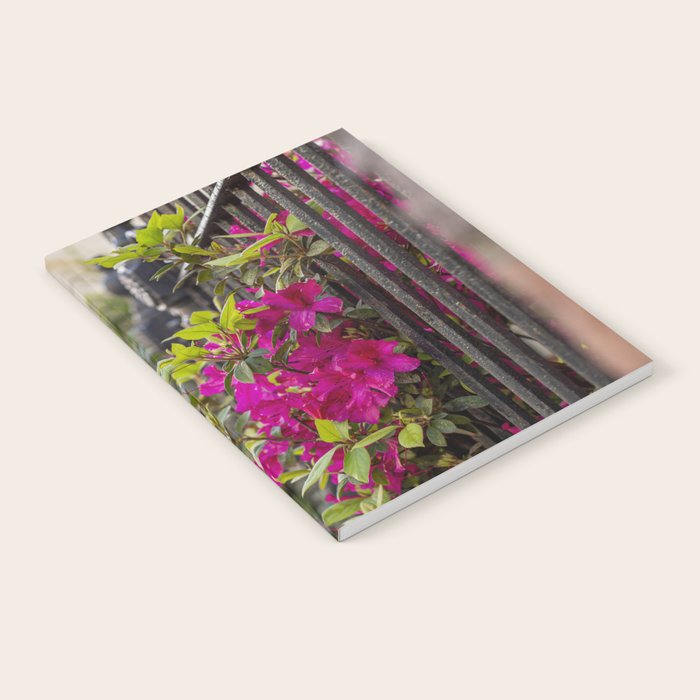 New Orleans French Quarter Photography x Azaleas in the Quarter Notebook Gallery Image 1