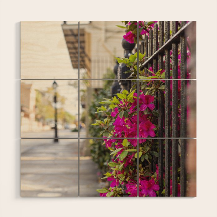 New Orleans French Quarter Photography x Azaleas in the Quarter Wood Wall Art Gallery Image 1