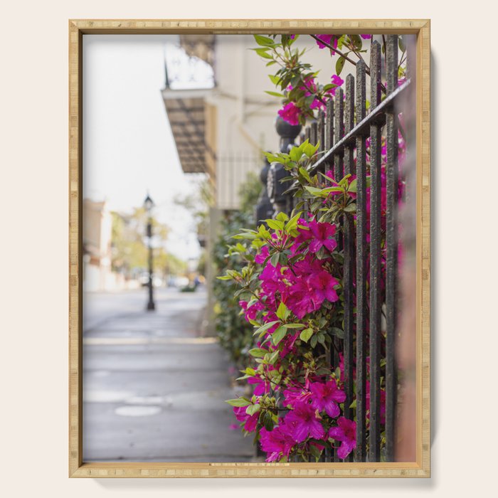 New Orleans French Quarter Photography x Azaleas in the Quarter Serving Tray Gallery Image 1