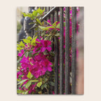 New Orleans French Quarter Photography x Azaleas in the Quarter Notebook Gallery Image 4