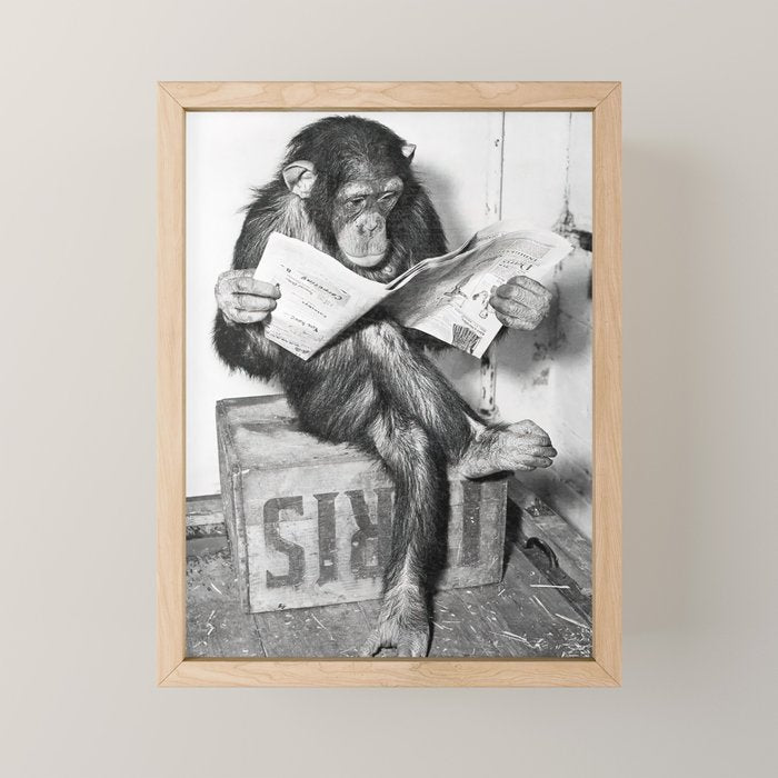 Chimpanzee Reading Newspaper, Black and White Vintage Art Mini Art Print Gallery Image 1