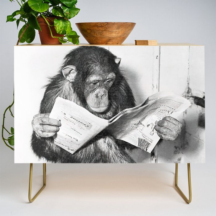 Chimpanzee Reading Newspaper, Black and White Vintage Art Credenza Gallery Image 1