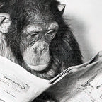 Chimpanzee Reading Newspaper, Black and White Vintage Art Coffee Mug Gallery Image 2