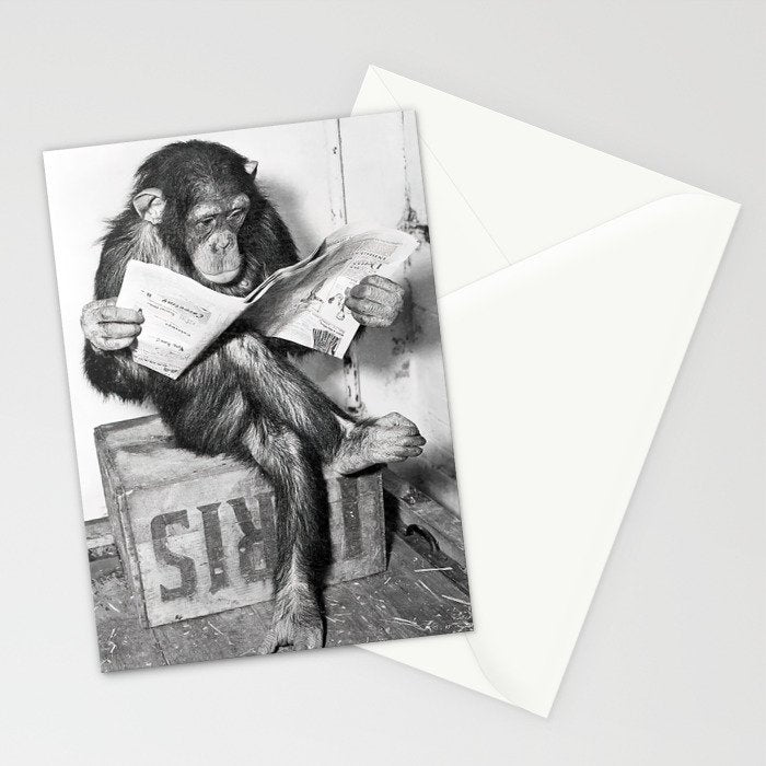 Chimpanzee Reading Newspaper, Black and White Vintage Art Stationery Card Gallery Image 2