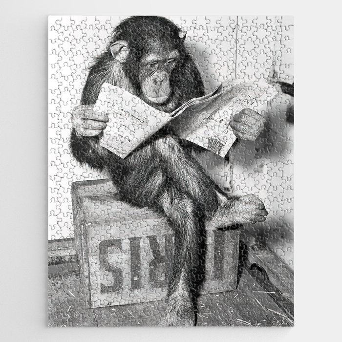 Chimpanzee Reading Newspaper, Black and White Vintage Art Jigsaw Puzzle Gallery Image 1