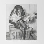 Chimpanzee Reading Newspaper, Black and White Vintage Art Throw Blanket Gallery Image 2