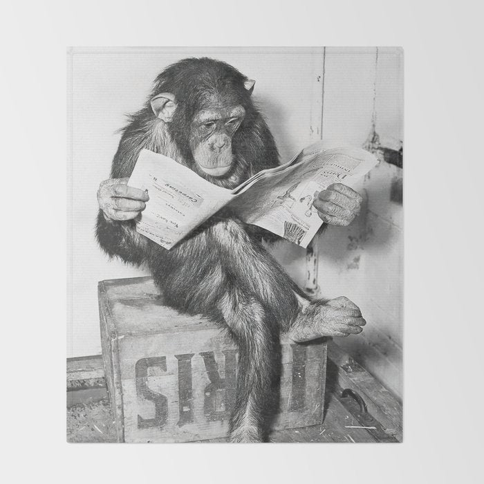 Chimpanzee Reading Newspaper, Black and White Vintage Art Throw Blanket Gallery Image 2