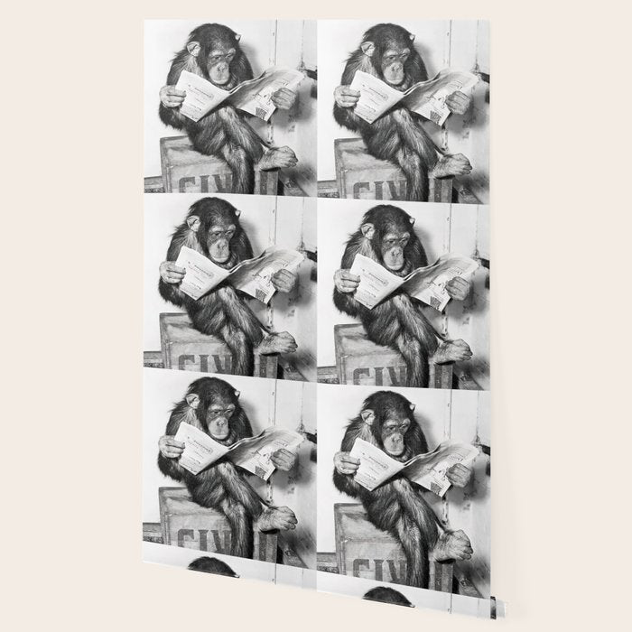 Chimpanzee Reading Newspaper, Black and White Vintage Art Wallpaper Gallery Image 2