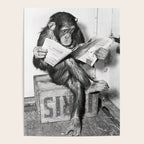 Chimpanzee Reading Newspaper, Black and White Vintage Art Poster Gallery Image 4