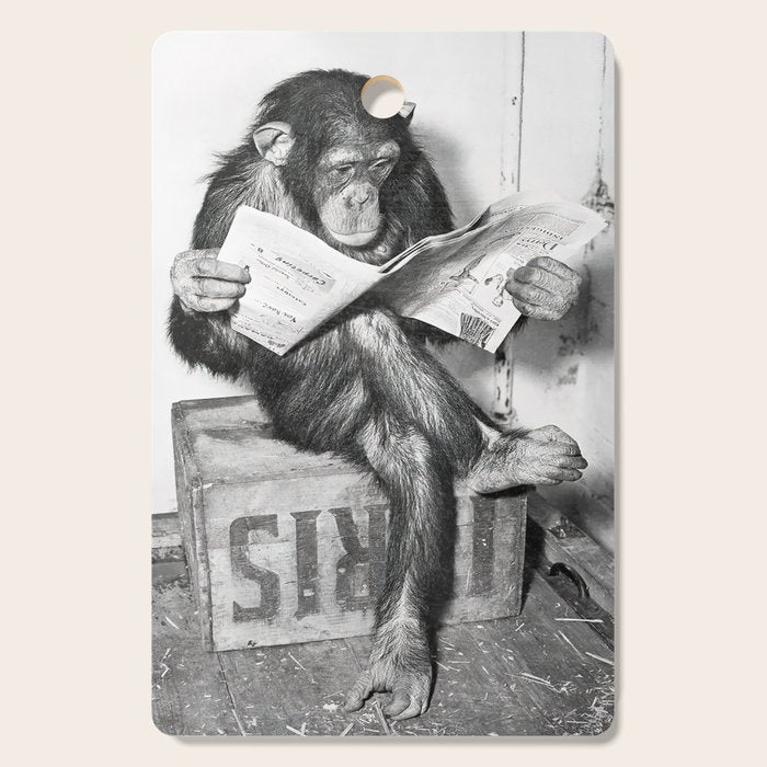 Chimpanzee Reading Newspaper, Black and White Vintage Art Cutting Board Gallery Image 1