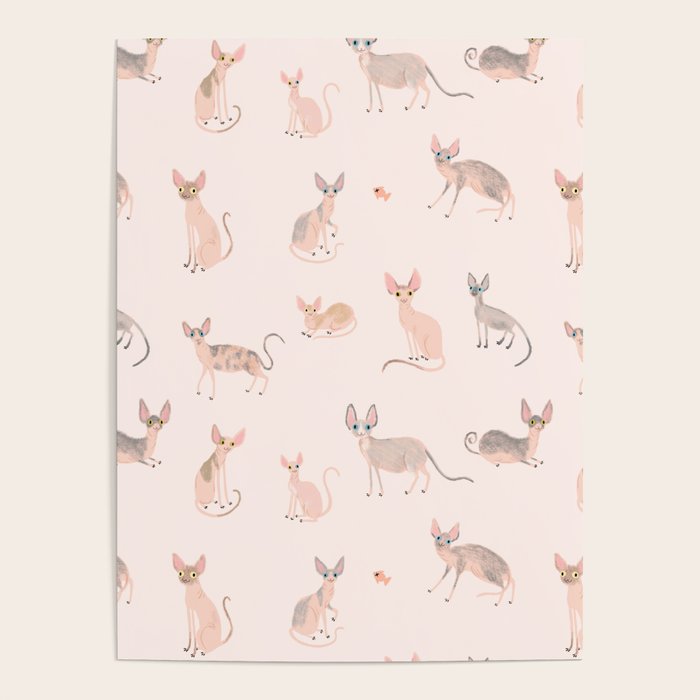 Sphynx Cats - No Furr Don't Care - Cat Pink Poster Gallery Image 4