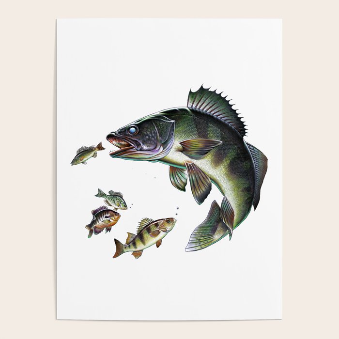 Walleye Poster Gallery Image 4