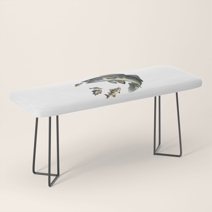Walleye Bench Gallery Image 1