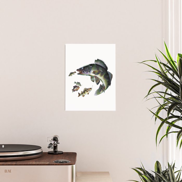 Walleye Poster Gallery Image 2