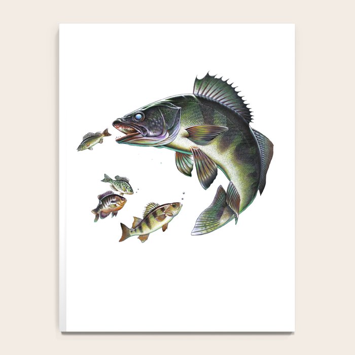 Walleye Notebook Gallery Image 4