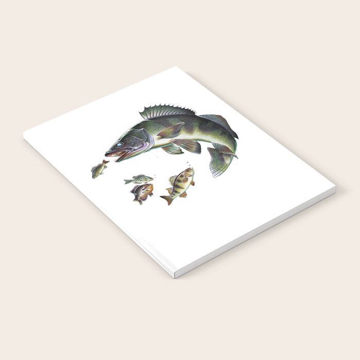 Walleye Notebook Gallery Image 1