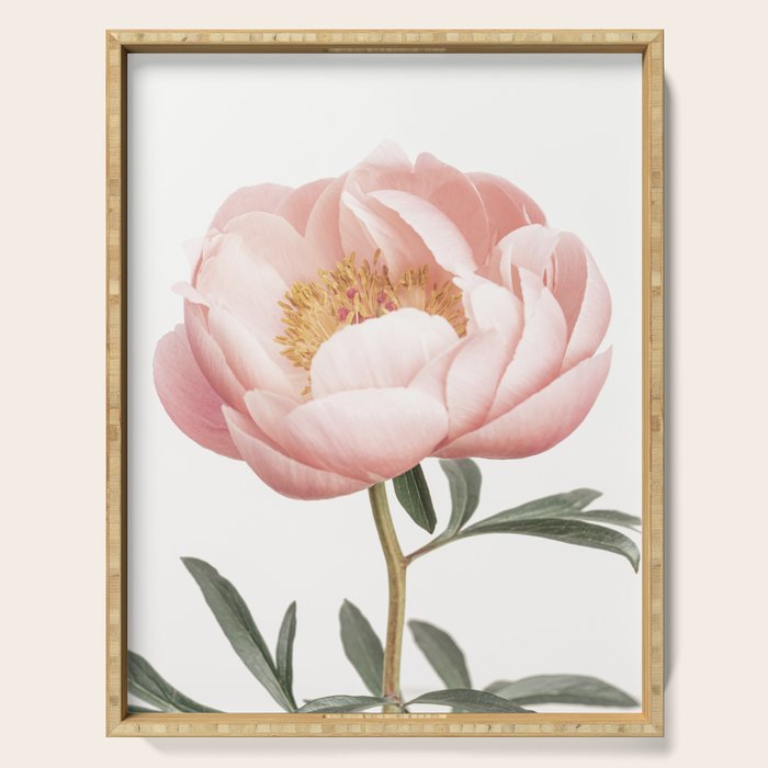 Coral Peony Serving Tray Gallery Image 1