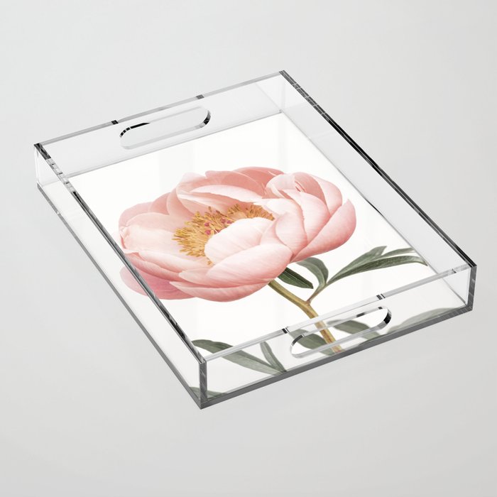 Coral Peony Acrylic Tray Gallery Image 1
