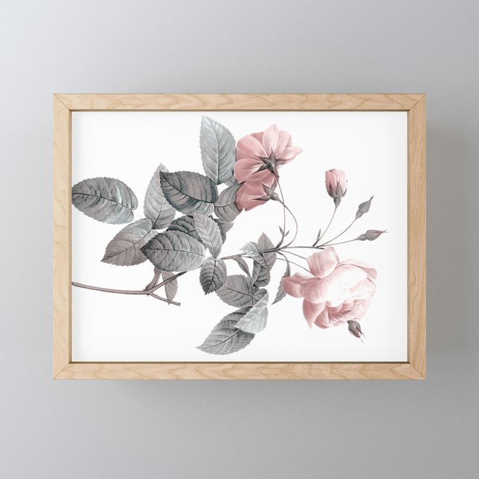 Rose 2 Mini Art Print Gallery Image 1
