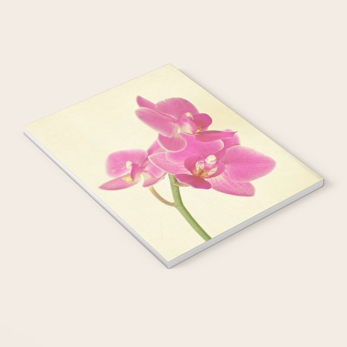 Pink Orchid Notebook Gallery Image 3