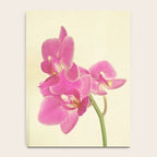 Pink Orchid Notebook Gallery Image 4