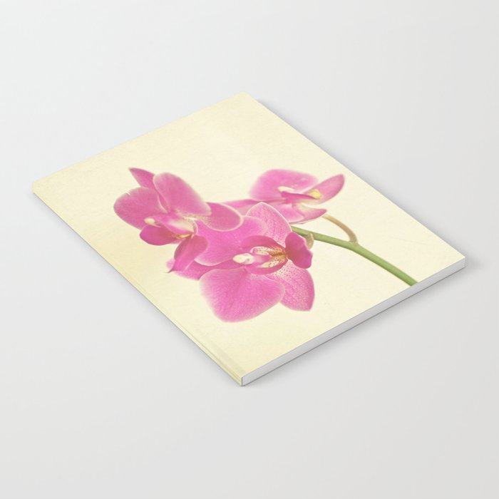 Pink Orchid Notebook Gallery Image 2